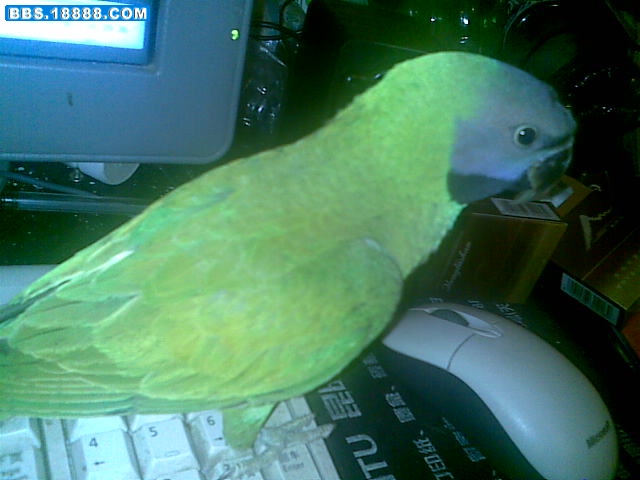 20100323(009).jpg