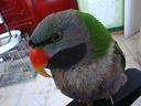 DSC01515.JPG