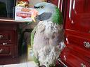 DSC01509.JPG