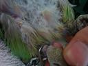 DSC01511.JPG