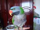 DSC01516.JPG