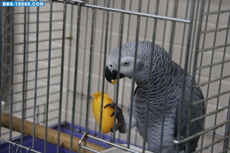 IMG_4397_resize.jpg