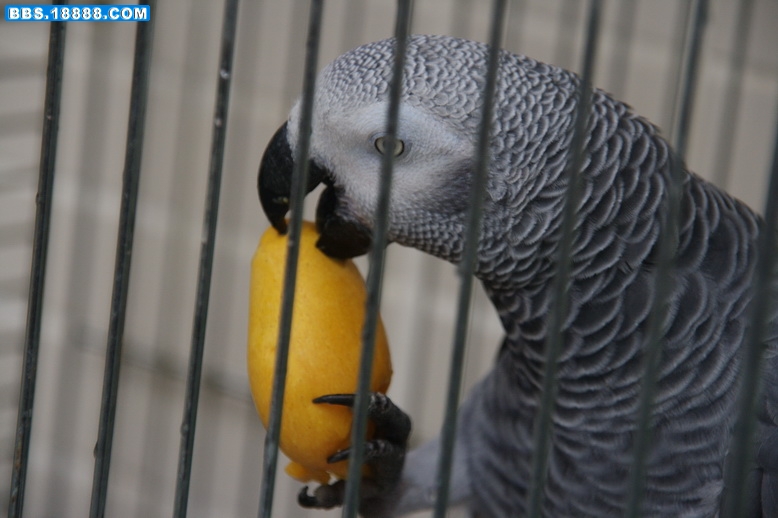 IMG_4399_resize.jpg