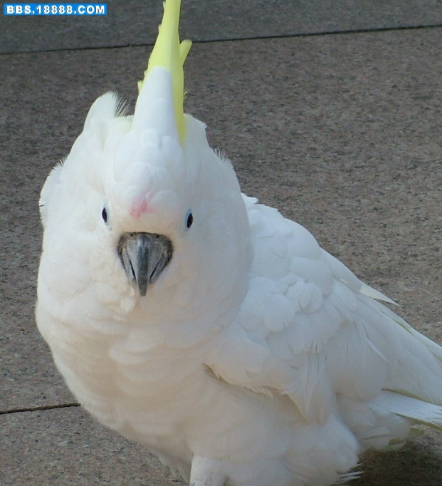 DSCF3530.JPG