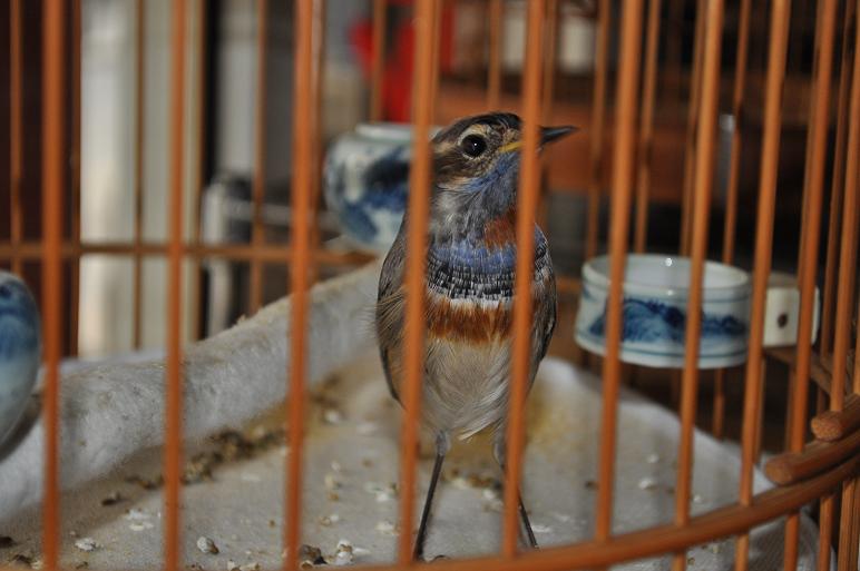 DSC_0614.jpg