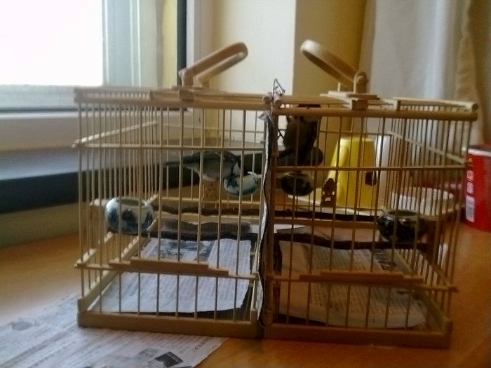 nEO_IMG_20091004195.jpg