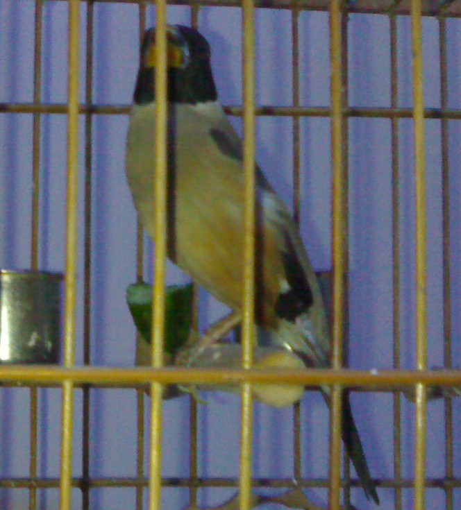 201003051241-002.jpg