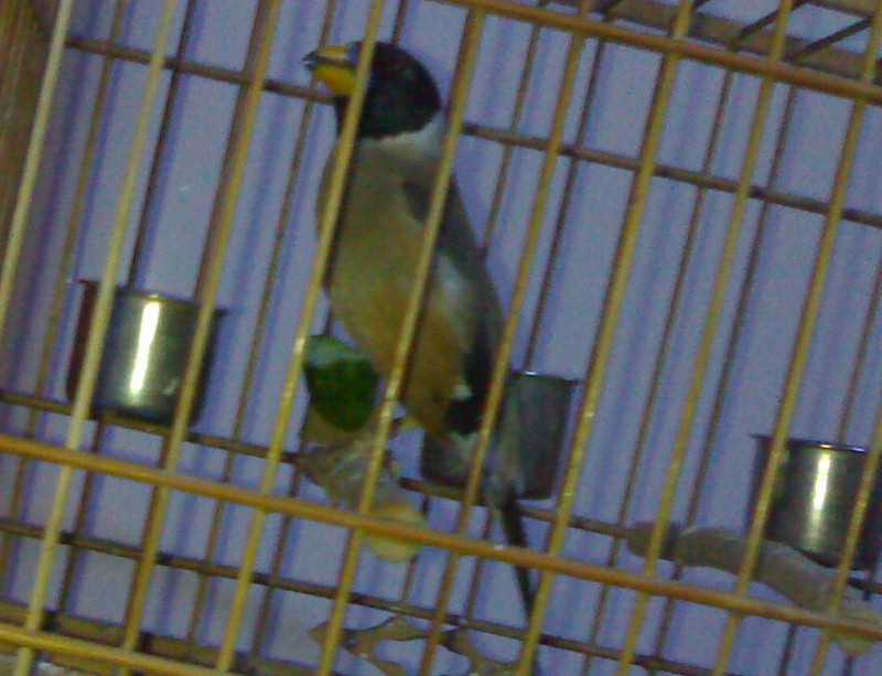 201003051239-003.jpg