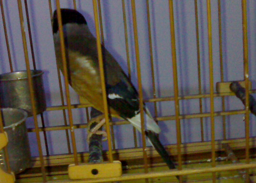 201003051243-002.jpg