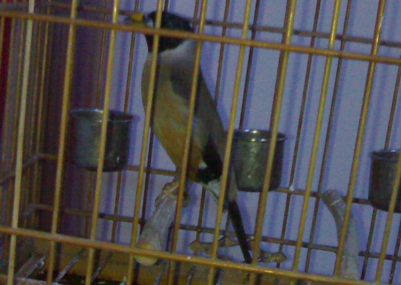 201003051238-001.jpg