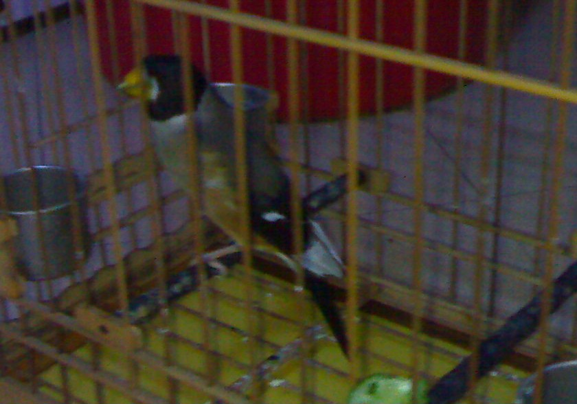 201003051249-001.jpg