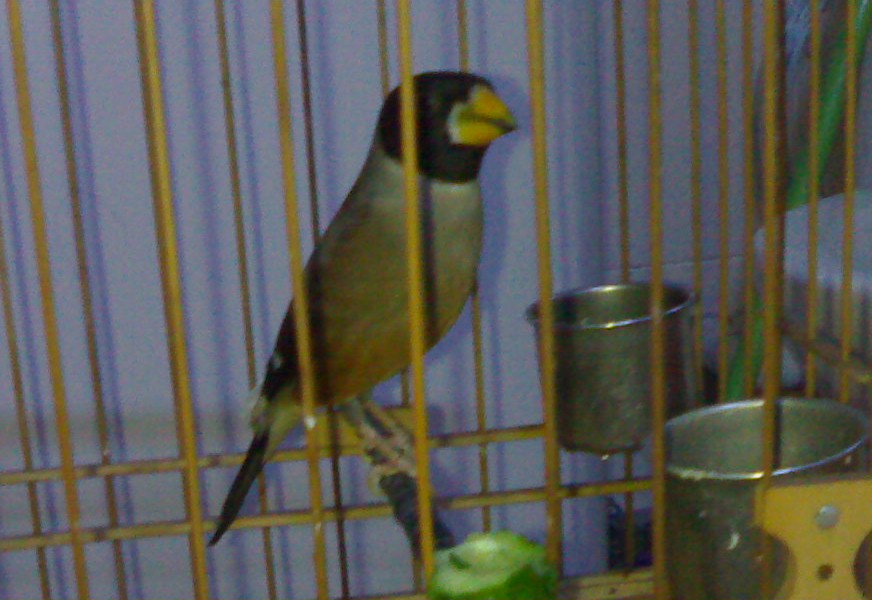 201003051242-001.jpg