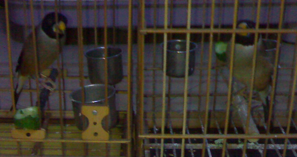 201003051248-001.jpg