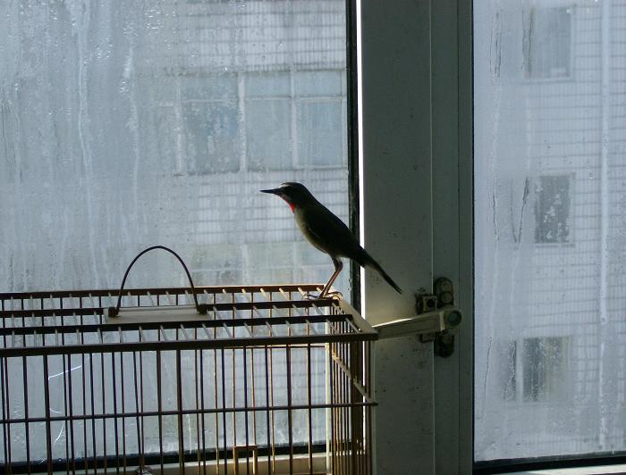 HPIM0463.JPG