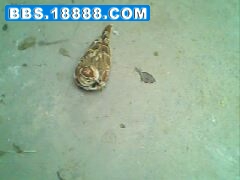 IMG0078A.jpg