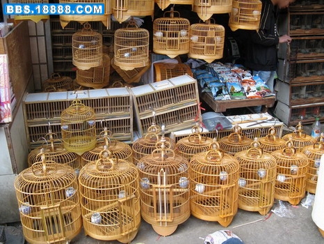 16_调整大小.JPG