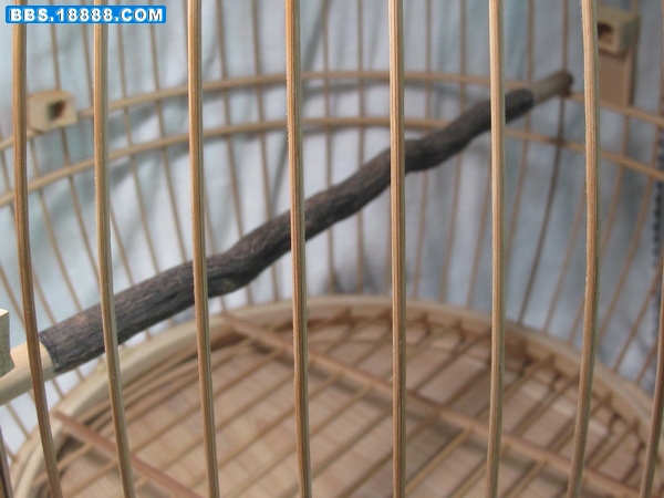6 051_调整大小.jpg