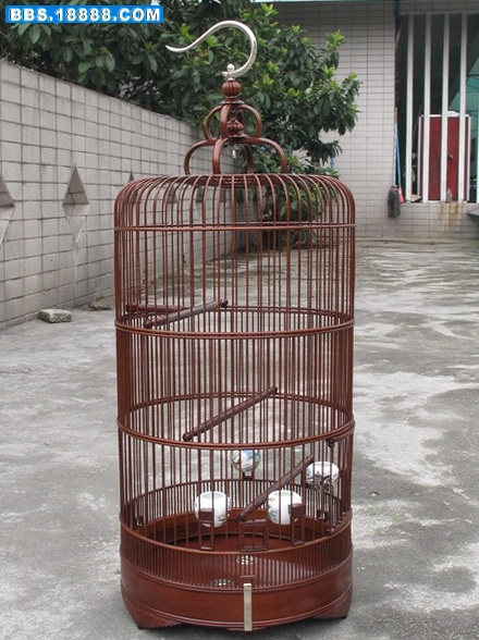 6 042_调整大小.jpg