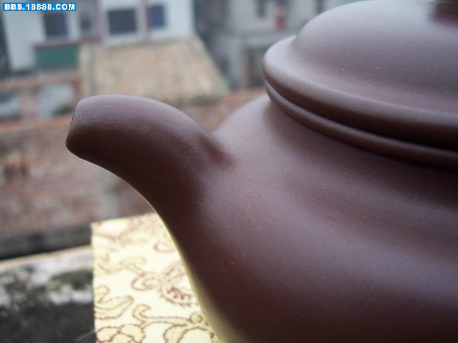 100_6398.JPG