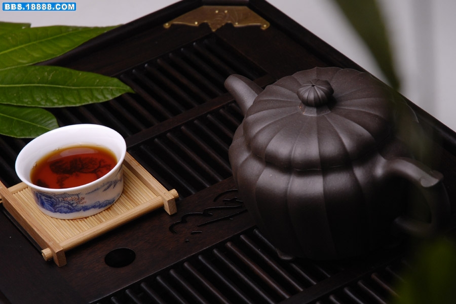 李园林-菊八瓣0.jpg