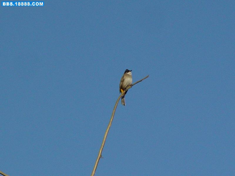 调整大小 DSC01578.JPG