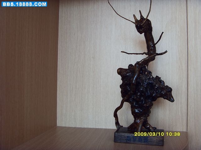 SDC15352.jpg