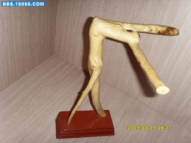 SDC15419.jpg
