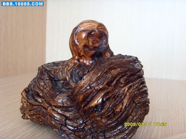 SDC15358.jpg