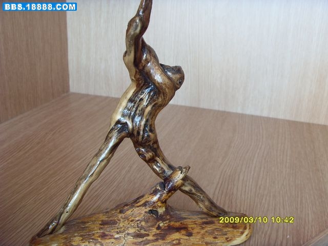 SDC15355.jpg