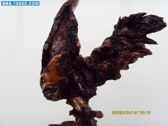 SDC15367.jpg