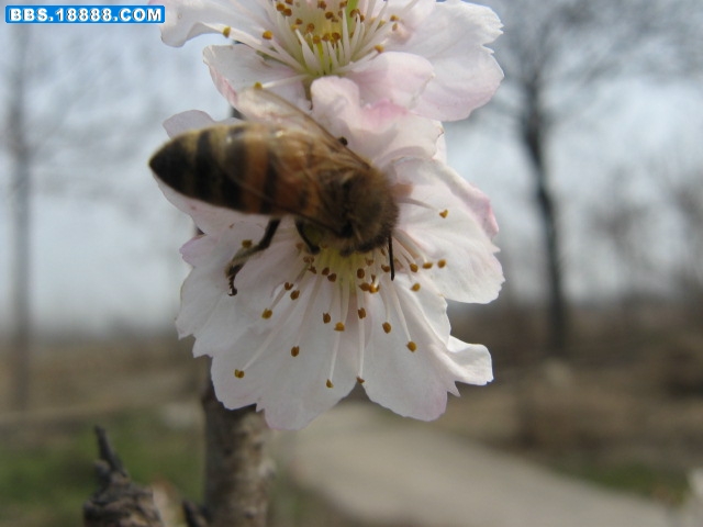 春 077.jpg