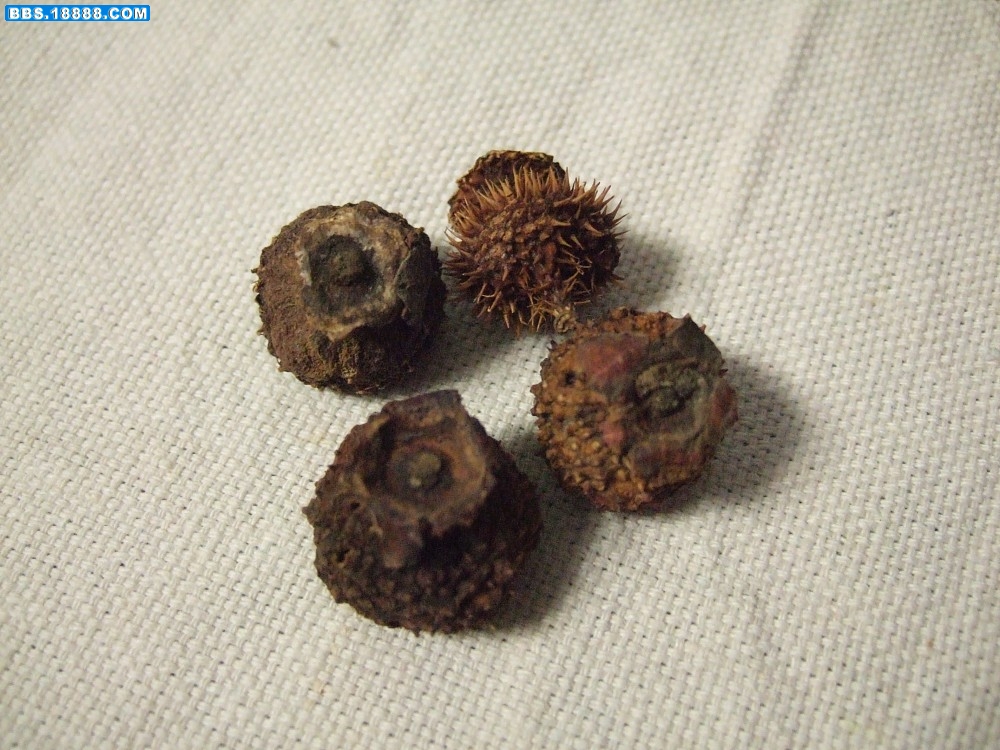 images002.jpg