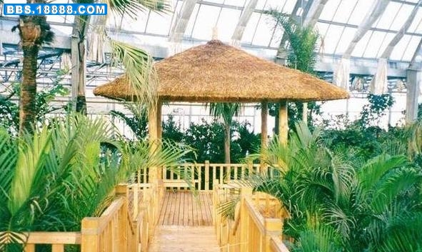 热带植物园2.jpg