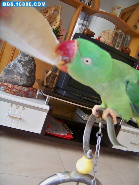 100_3554.jpg
