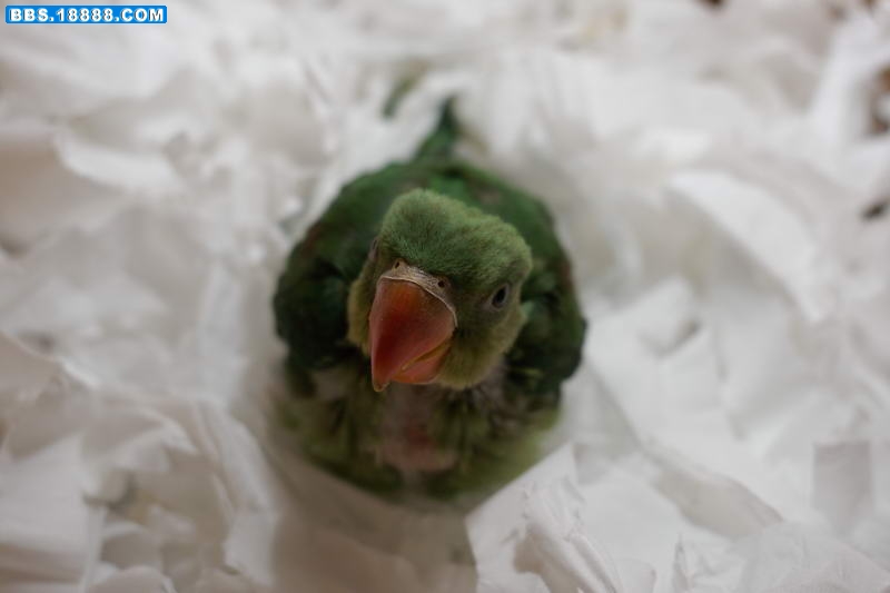 20100311_0223_调整大小.JPG