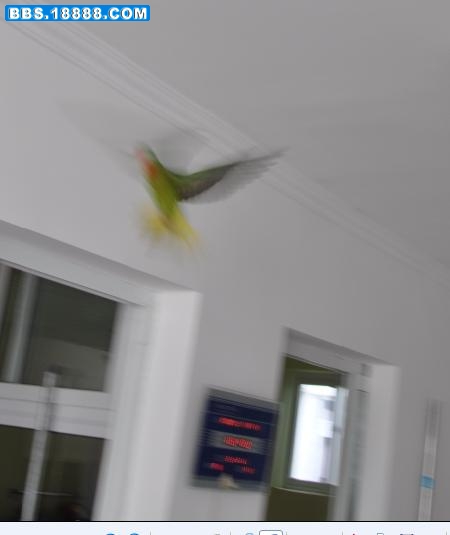 压力6.jpg