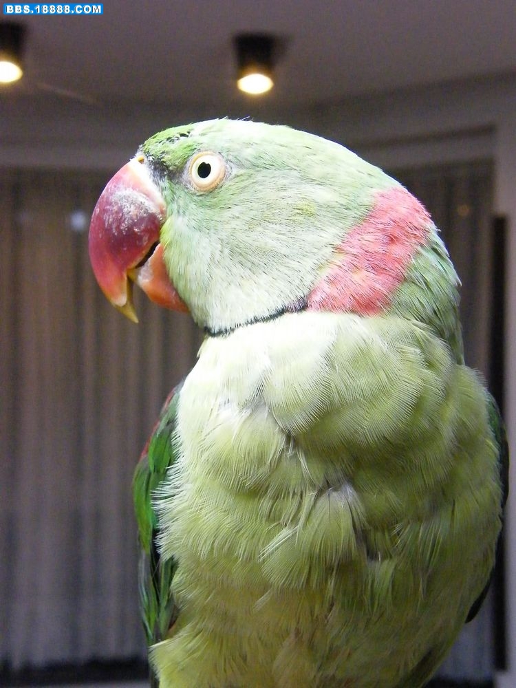 DSCF9395.JPG