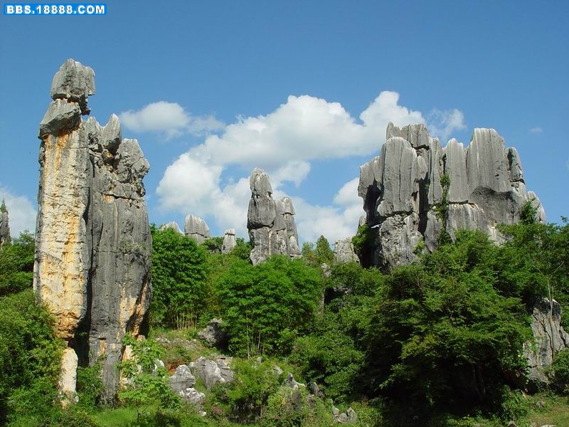 调整大小 DSC08132.JPG