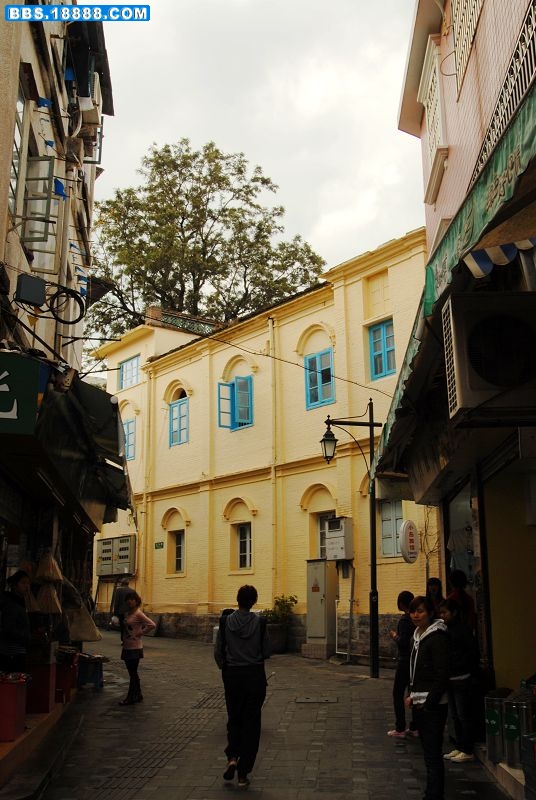DSC_0115.jpg
