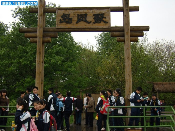 凤凰岛.jpg