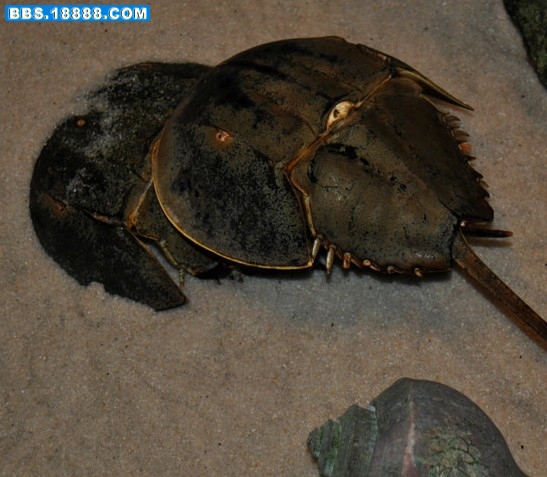 a5956274_s[1].jpg