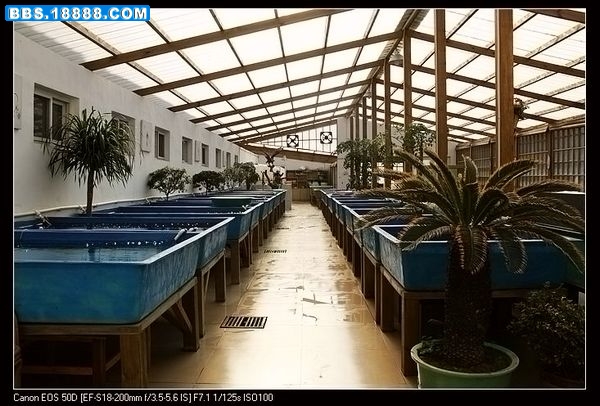 nEO_IMG_上海游 555.jpg
