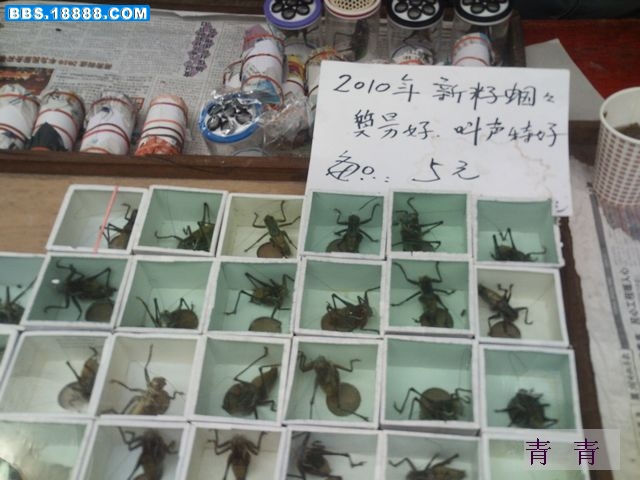 nEO_IMG_PICT0071.jpg