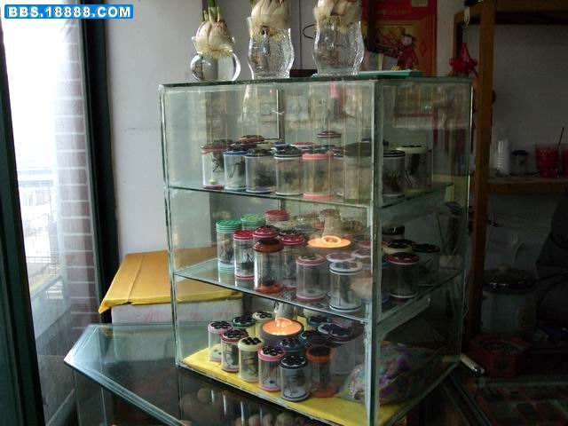重新曝光 调整大小 DSCF3334.jpg