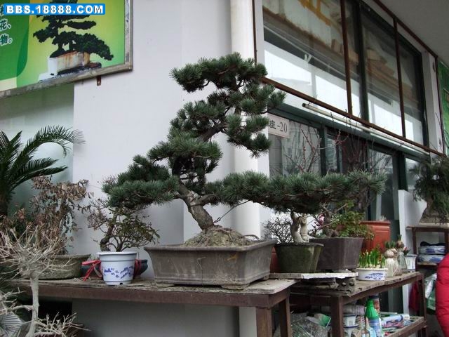重新曝光 调整大小 DSCF3558.jpg