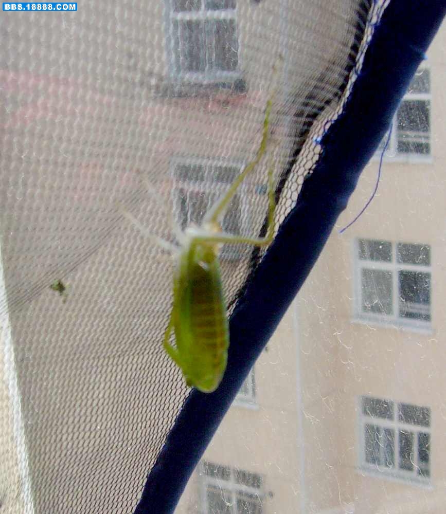P1010331.jpg