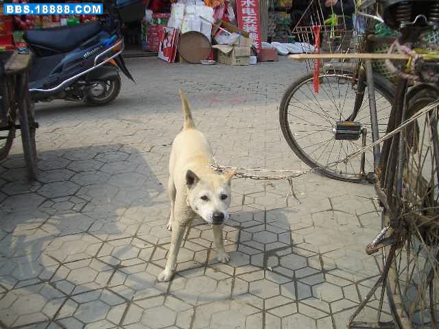 CIMG4485.JPG