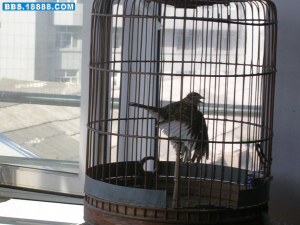 DSCN3385.JPG