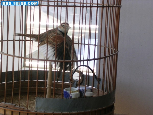 DSCN3387.JPG