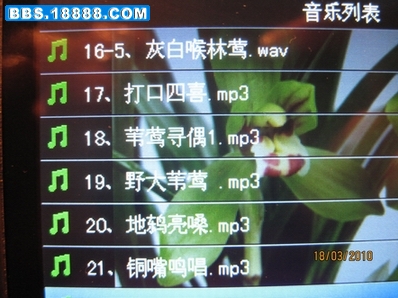 音频文件4.jpg